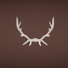 antlers various deer horns 3d print model - Mito3D