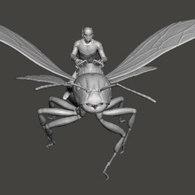 karınca adam büst mcu Yenilmezler 3d print model - Mito3D