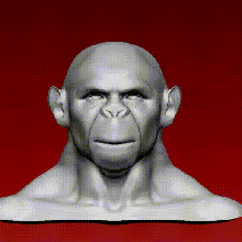 scimmia arte 3dmodel stl cults3d 3dprint highpoly film gioco 3d print model - Mito3D