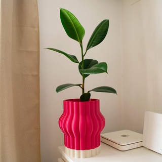 aplaste pot size large plant flower design home maceta planta flor 3d print model - Mito3D