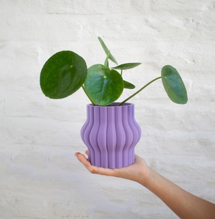 aplaste pot size small plant flower design home maceta planta flor planter 3d print model - Mito3D