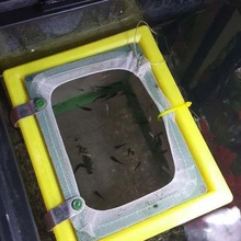 acquario allevatore net float casa gli animali domestici miodesopsie 3d print model - Mito3D
