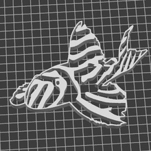 aquarium poisson pleco 3d print model - Mito3D