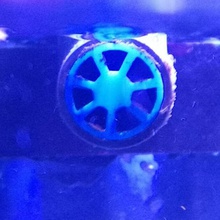 aquarium fließen stl tool dn25 aqua reeftank Riff flow str mungsd se 3d print model - Mito3D
