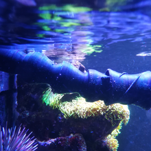 aquarium flow home pets 3d print model - Mito3D