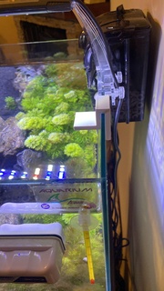 aquarium verre titulaire soutien agrafe acquérir poisson gadget utile 3d print model - Mito3D