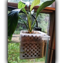 aquarium hanging basket plant pot container aquaponics filter fish tank pet 3d print model - Mito3D