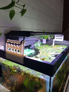 aquarium lumière riser bordé réservoir poisson 3d print model - Mito3D