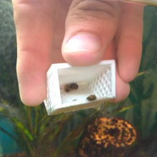 aquarium snail catcher landing net trap alga tool house 3d print model - Mito3D