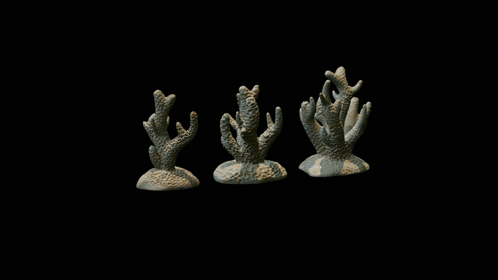 akvaryum teraryum dekorasyon mercan ayarlamak 1 sanat odun gövde hayvan balık haşarat örümcek sürüngen faliyet alani sahne taş heykel yılan fare ağaç dağ harita okyanus 3d print model - Mito3D