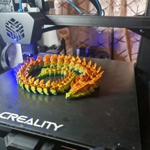 aquatique dragon impression endroit art flexi agiter articulé tik tok 3d print model - Mito3D