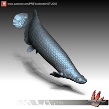 arapaima sharks statue sculpture miniatures figurines creature beast fish 3d print model - Mito3D