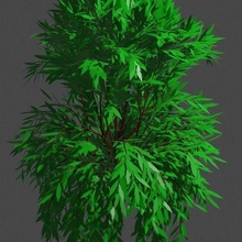 arbol10 arquitetura árvore 3d print model - Mito3D