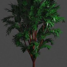 arbol11 architettura albero 3d print model - Mito3D