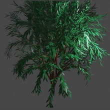 arbol5 arquitetura árvore 3d print model - Mito3D