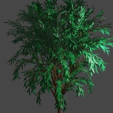 arbol7 mimari ağaç 3d print model - Mito3D