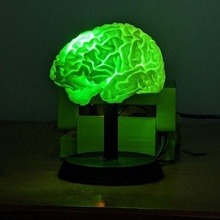 Arduino uno angetrieben rgb LED Gehirn Licht Kunst Lampe 3d print model - Mito3D