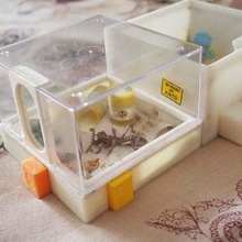 arena modular ant farm home antfarm ants formicarium pets 3d print model - Mito3D