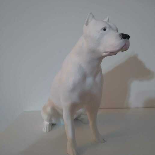 Argentino animais estimação buldogues Argentina cão raça 3D print model - Mito3D