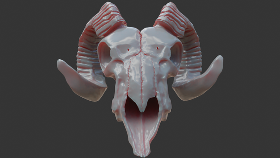 aries skull statuette desktoy skeleton zodiac death 3d print model - Mito3D