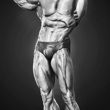 Arnold Schwarzenegger 3d modelo pronto impressão arte ator corpo fisiculturista estatuetas ginástica Academia saúde hollywood homem miniaturas estátua forte 3d print model - Mito3D