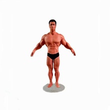 arnold schwarzenegger various politician film movie actor muscle gay guy boy bodybuilder bodybuilding body anatomy figurine figure sexy nude naked male man 3d print model - Mito3D