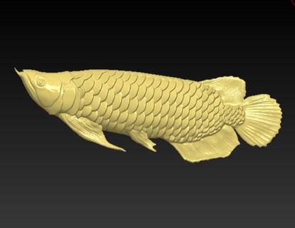 arowana Drago pesce 3d modello ng 3d print model - Mito3D