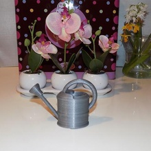 arrosoir home watering can tool gadget decoration 3d print model - Mito3D
