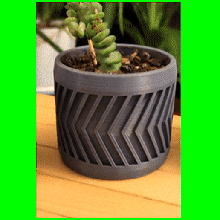arrow cactus simple pot gadget plant green decor modern minimalist succulents cactuslover saloon 3d print model - Mito3D