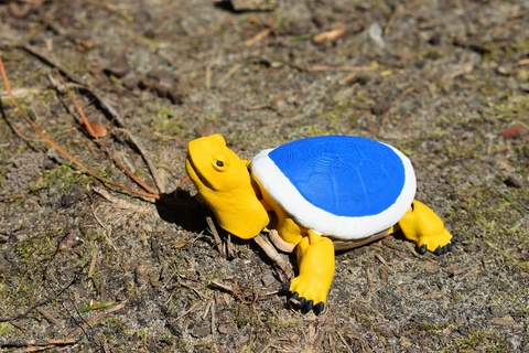 articuler glissière tortue articulé fléchir flexi reptile animal créature jouet étang 3d print model - Mito3D