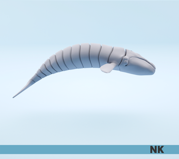 articolare meridionale giusto balena nk flettere flessibile articolato articolando pesce giocattolo acqua oceano mare 3d print model - Mito3D