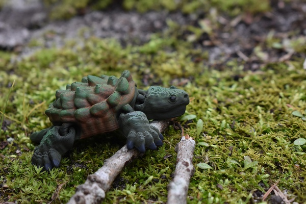 articulated alligator snapping turtle - support free flex flexi toy art d cor animal creature lake river reptile 3d print model - Mito3D