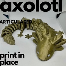 articulated axolotl 3d print model - Mito3D