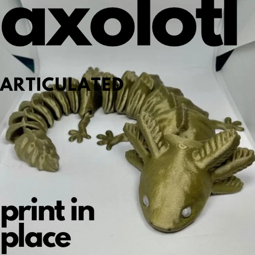 articolato axolotl Stampa posto 3D print model - Mito3D