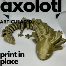 articulated axolotl - print place