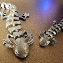 articolato axolotl migliorata 3d print model - Mito3D