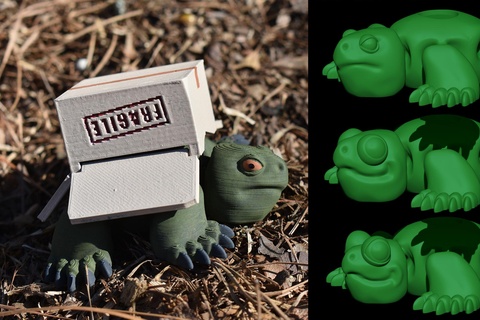articolato scatola tartaruga rettile animale creatura flettere flessibile supporto gratuito giocattolo regalo 3d print model - Mito3D
