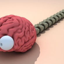 artikuliert Gehirn Wurm Kunst Schlange stl Schaffung zappeln Spielzeug flexi 3d print model - Mito3D