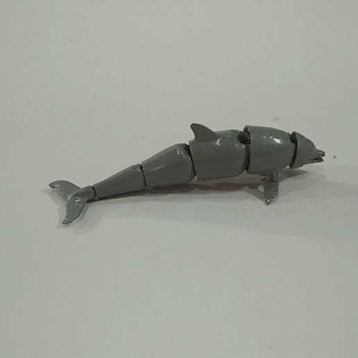 articulado golfinho 3D print model - Mito3D