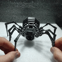 articulado flexível tarântula aranha robô enigma 3d impressão jogos cérebro provocação montar rede 3d print model - Mito3D