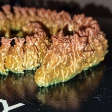 mafsallı orman Ejderha Sanat Odun fantezi destek kolay Yazdır köprü esnek doğa oyuncak hayvan 3d print model - Mito3D