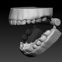 articulated free movement teeth keychain 3d print model - Mito3D