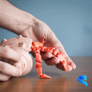 articulado Hermes eremita caranguejo mar oceano engraçado 3d print model - Mito3D
