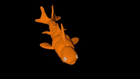 mafsallı koi balık akvaryum gölet hareket gerçekçi ölçekler yüzgeçler kuyruk poz verilebilir high quality su geçirmez dayanıklı çevre direnç koleksiyon suda yaşayan 3d print model - Mito3D