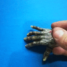 articulado monstro mão brinquedo flexível flex Bruxas Diversão família casa fábrica 3d print model - Mito3D