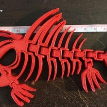 articulé piranha 3d print model - Mito3D