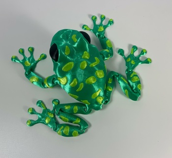 articulated poison dart frog 2 1 pack multicolor articulation animals 3d print model - Mito3D