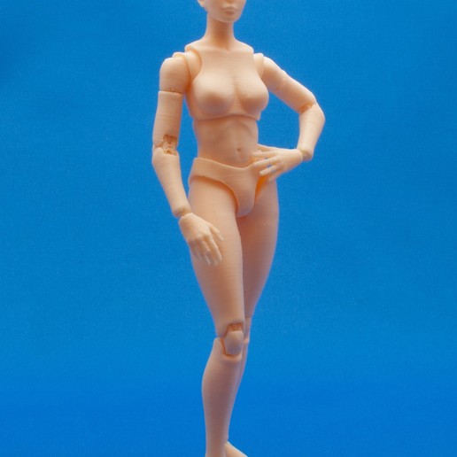 articulada poseable figura feminina a arte jogos personagens feminino 3D print model - Mito3D