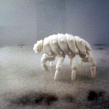 articulated predominant isopod bjd kit 3d stl files & sprues animal toy bjd art sculpture sea life creature monster beast