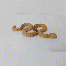articulado pontiagudo víbora serpente 3d print model - Mito3D